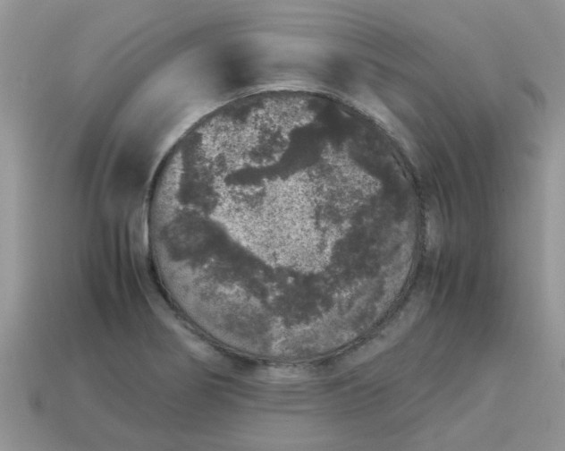 X0000113041274200909101910