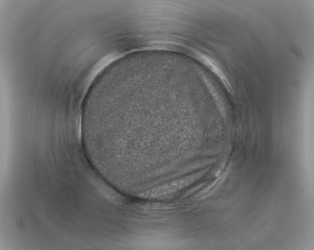 X0000113041275200909101910
