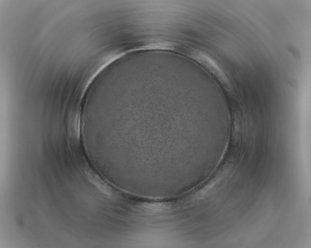 X0000113041276200909101910