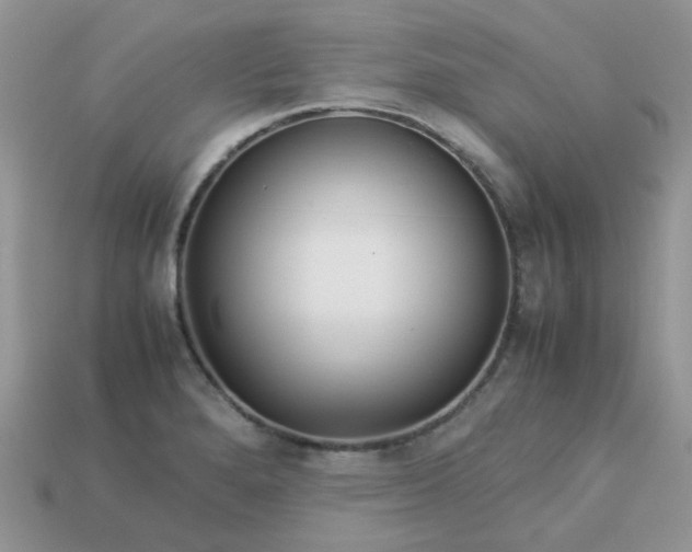 X0000113041280200909101910