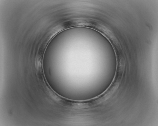 X0000113041281200909101910