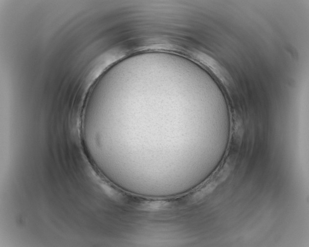 X0000113041282200909101910