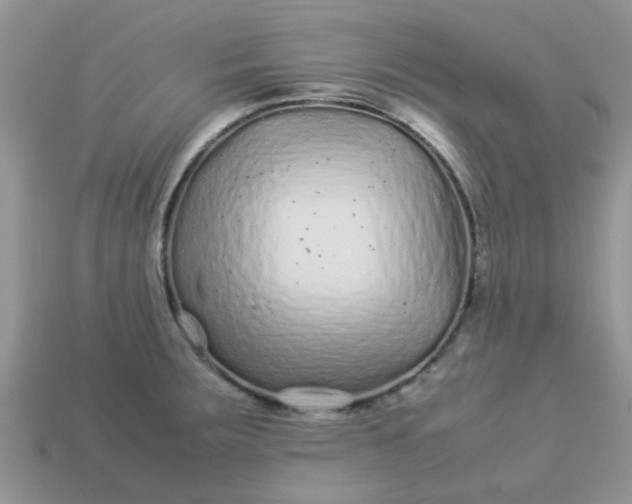 X0000113041283200909101910
