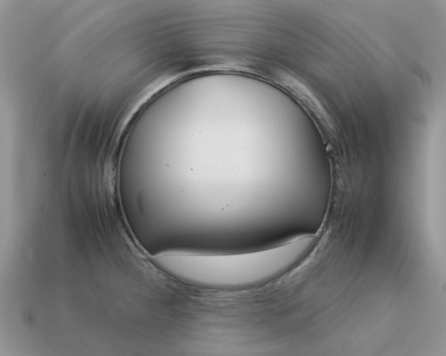 X0000113041284200909101910