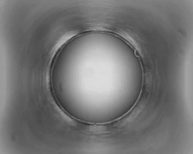 X0000113041285200909101910