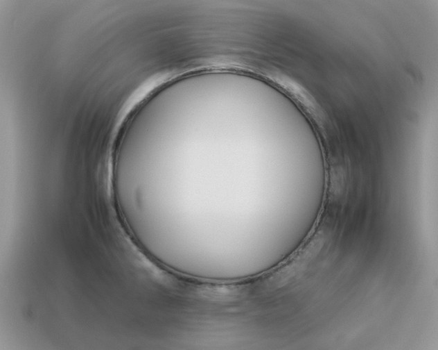 X0000113041286200909101910