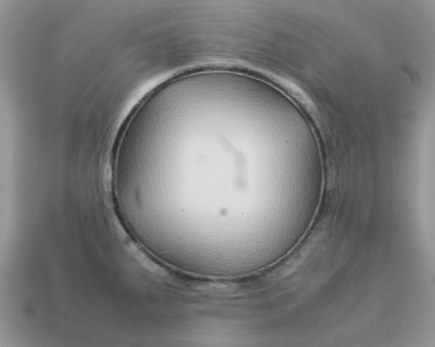 X0000113041287200909101910
