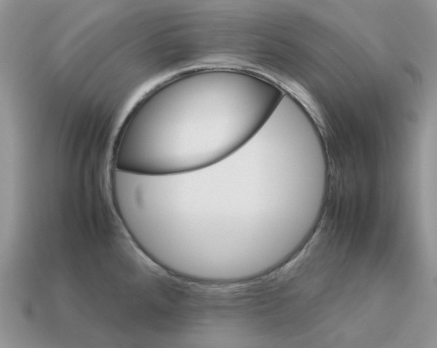 X0000113041288200909101910