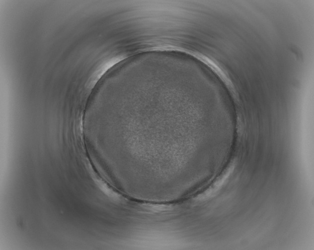 X0000113041289200909101910