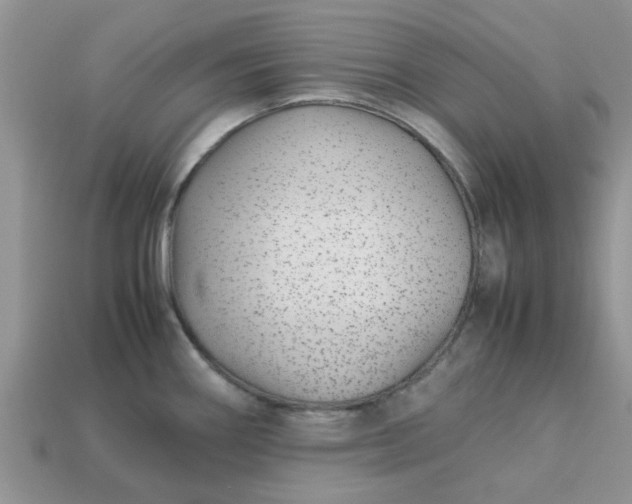X0000113041290200909101910