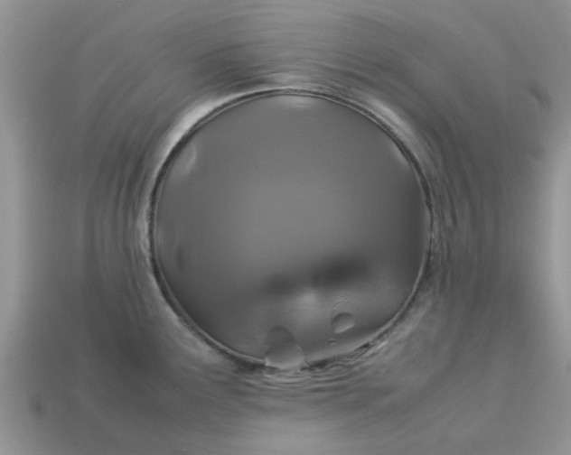X0000113041291200909101910
