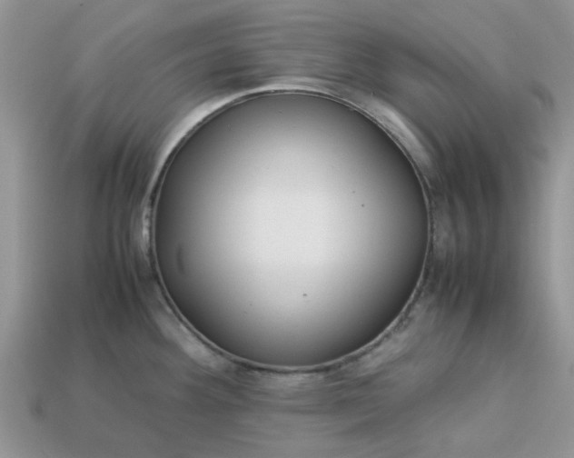 X0000113041292200909101910