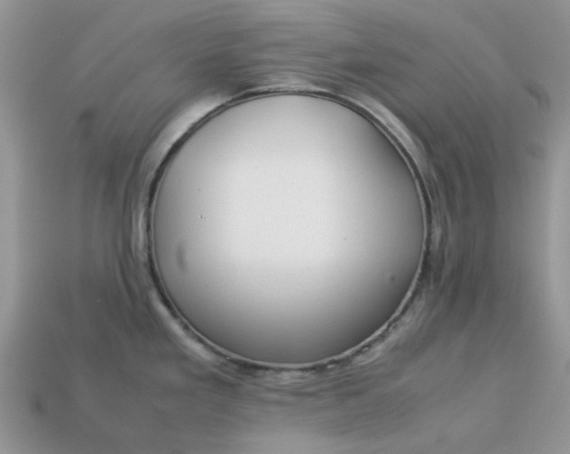 X0000113041293200909101910