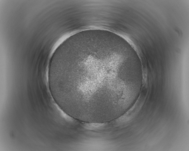 X0000113041294200909101910