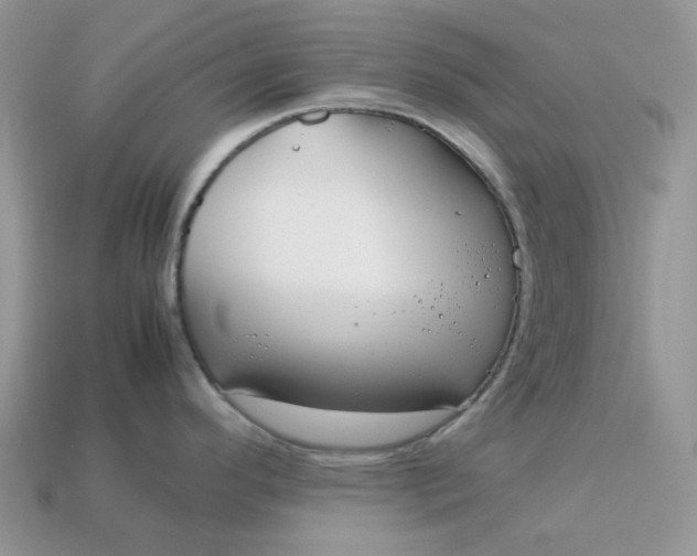 X0000113041296200909101910