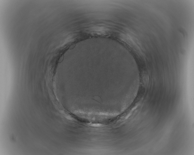 X0000113041297200909101910