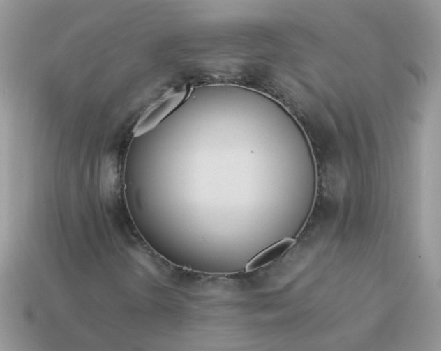 X0000113041298200909101910