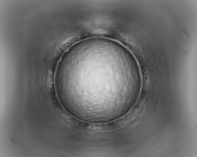 X0000113041301200909101910