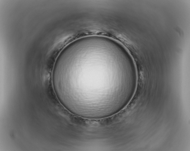 X0000113041302200909101910