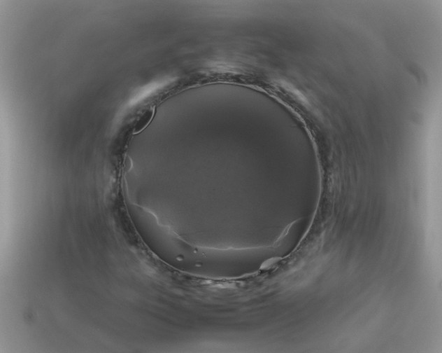 X0000113041303200909101910