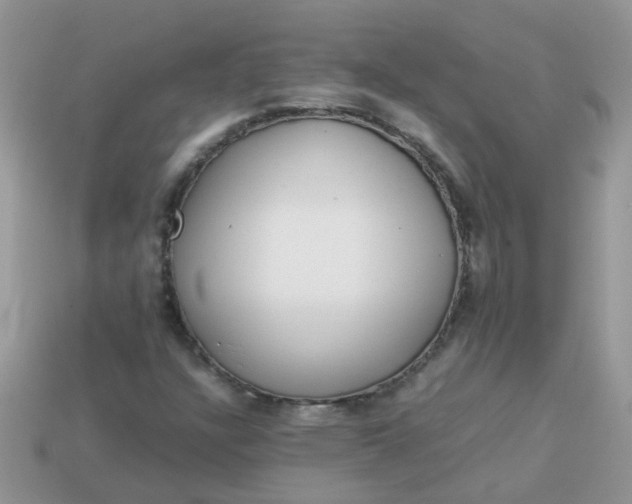 X0000113041304200909101910