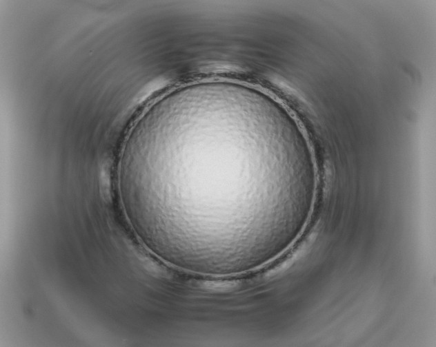 X0000113041305200909101910
