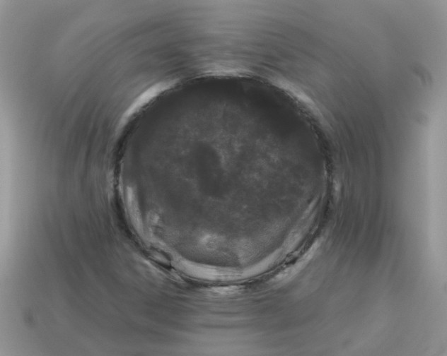 X0000113041306200909101910