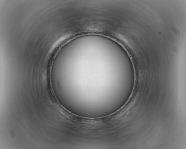 X0000113041307200909101910