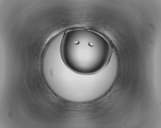 X0000113041308200909101910
