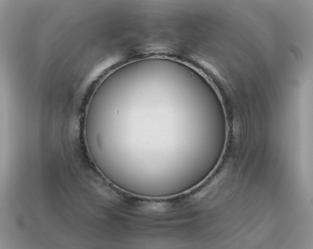 X0000113041309200909101910