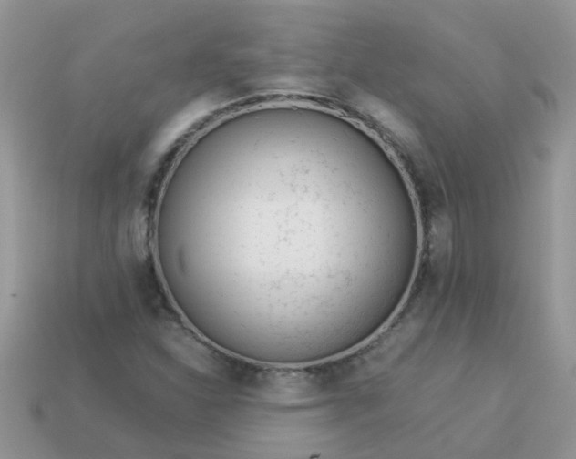 X0000113041310200909101910