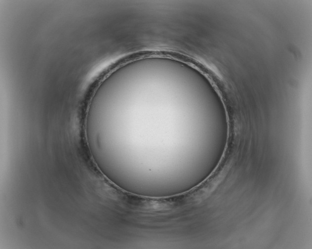X0000113041311200909101910