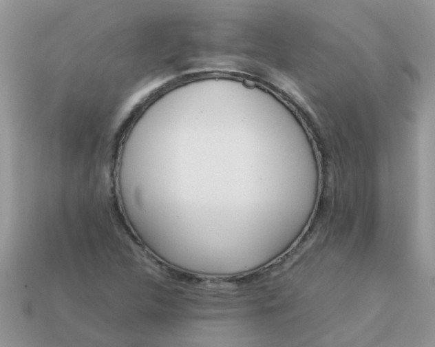 X0000113041312200909101910