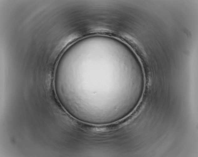 X0000113041313200909101910