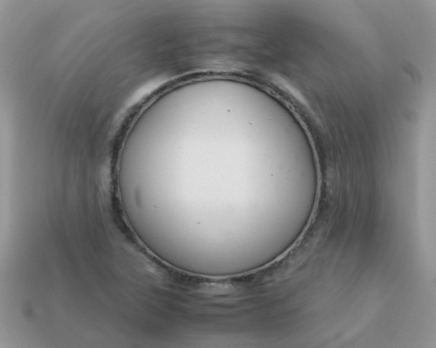 X0000113041315200909101910