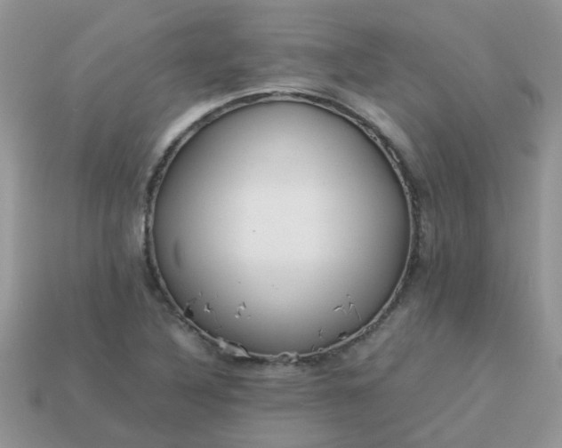 X0000113041316200909101910