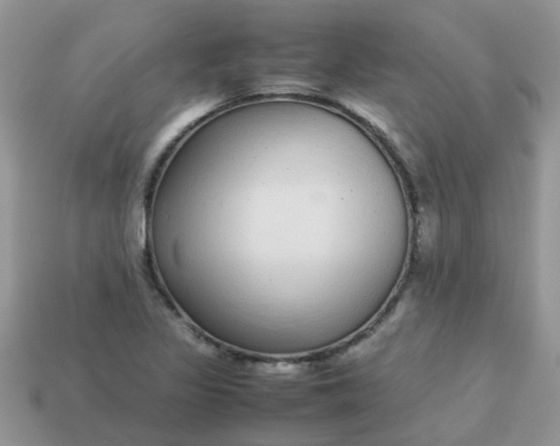 X0000113041317200909101910