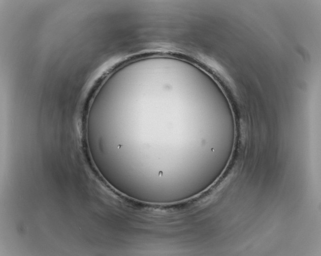 X0000113041318200909101910