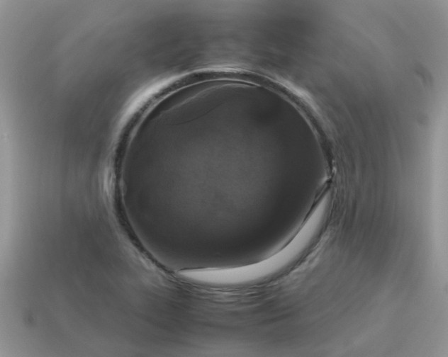 X0000113041319200909101910