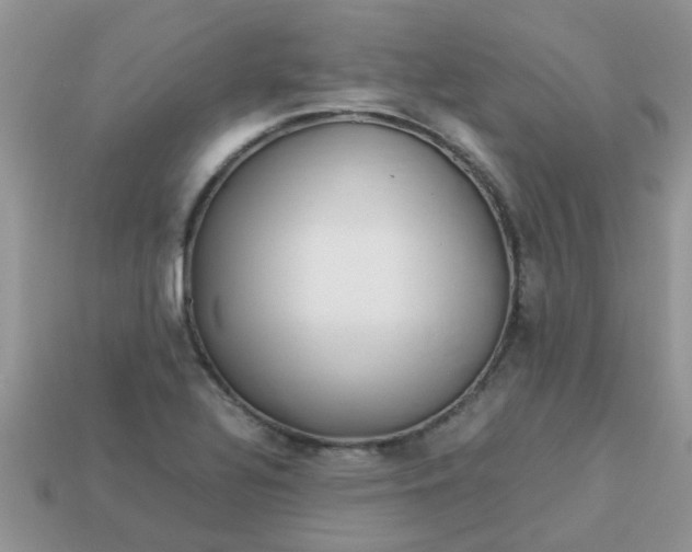 X0000113041320200909101910