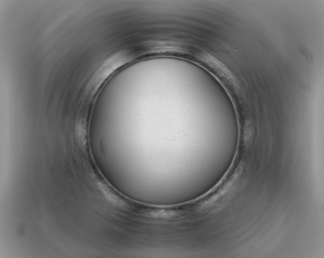 X0000113041321200909101910