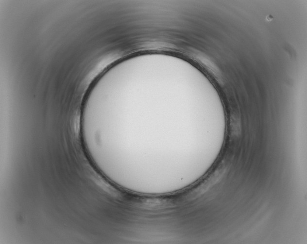 X0000113041322200909101910