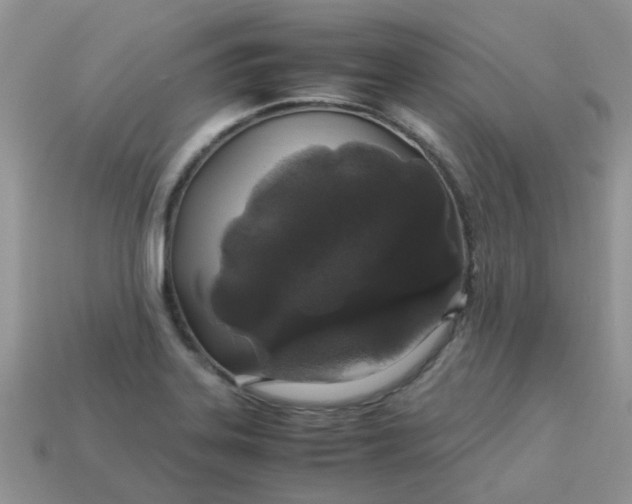 X0000113041323200909101910