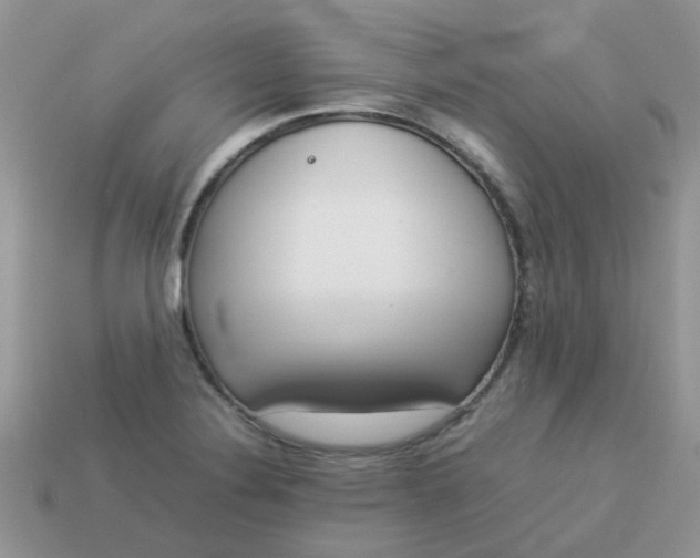 X0000113041324200909101910