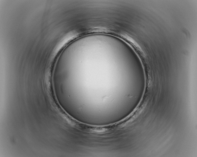 X0000113041325200909101910