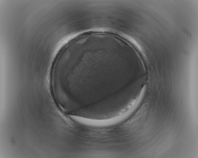 X0000113041327200909101910