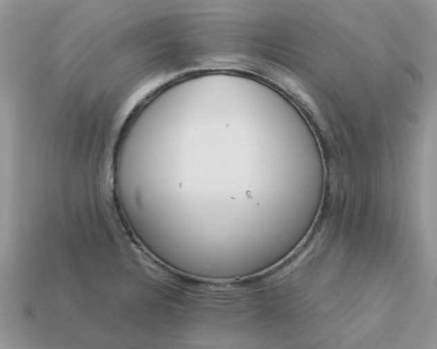 X0000113041328200909101910