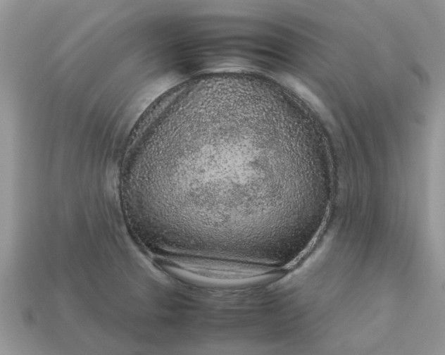 X0000113041329200909101910