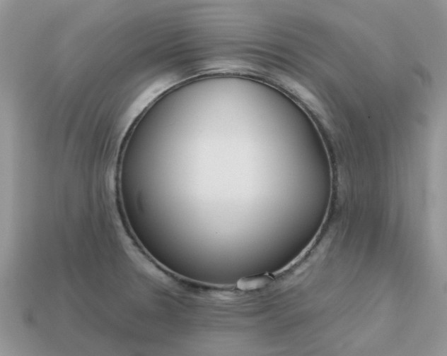 X0000113041330200909101910