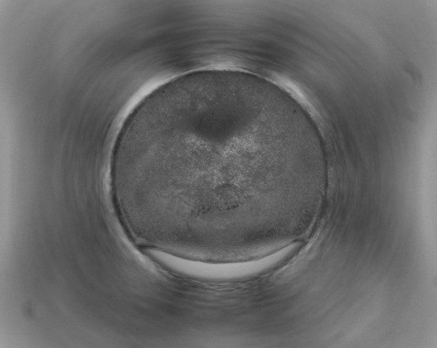 X0000113041331200909101910